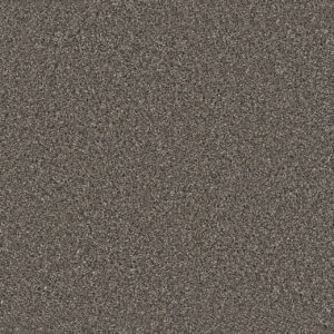 Dreamweaver Carpet Windy City II Rugby Carpet 4935_6112