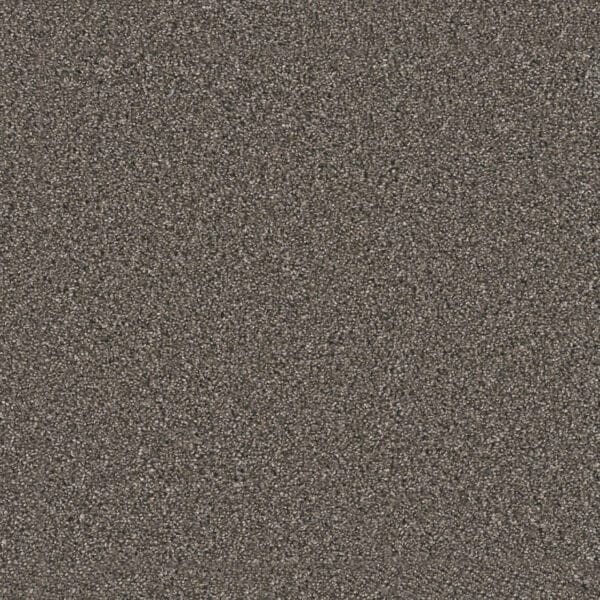 Dreamweaver Carpet Windy City III Rugby Carpet 4948_6112