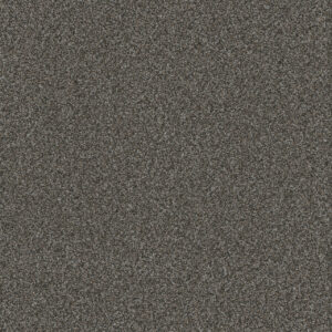 Dreamweaver Carpet Titan III Pinehurst Carpet 4765_132