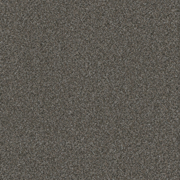 Dreamweaver Carpet Titan III Pinehurst Carpet 4765_132