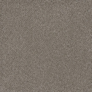 Dreamweaver Carpet Titan III Oakland Carpet 4765_143