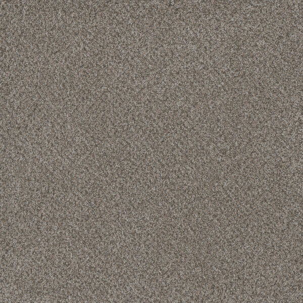 Dreamweaver Carpet Titan III Oakland Carpet 4765_143