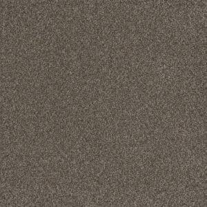 Dreamweaver Carpet Titan III Woodford Carpet 4765_150