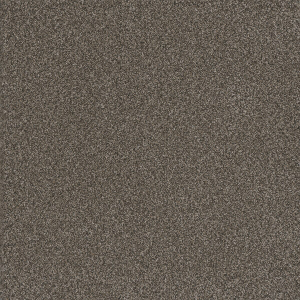 Dreamweaver Carpet Titan III Woodford Carpet 4765_150
