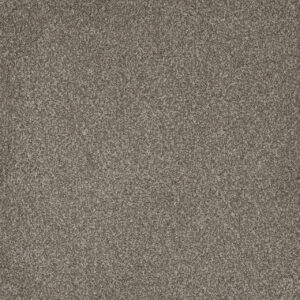 Dreamweaver Carpet Titan III Royal Crown Carpet 4765_227