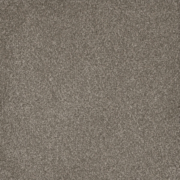 Dreamweaver Carpet Titan III Royal Crown Carpet 4765_227