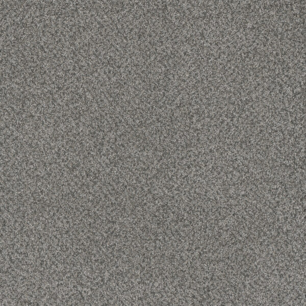 Dreamweaver Carpet Titan III Orchid Carpet 4765_278