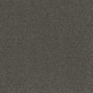 Dreamweaver Carpet Titan III Beacon Hill Carpet 4765_293