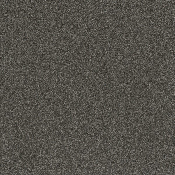 Dreamweaver Carpet Titan III Beacon Hill Carpet 4765_293