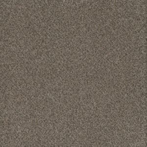 Dreamweaver Carpet Titan III Honeycomb Carpet 4765_335
