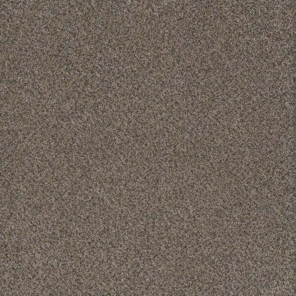 Dreamweaver Carpet Titan III Honeycomb Carpet 4765_335