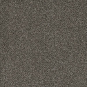 Dreamweaver Carpet Titan III River Crest Carpet 4765_342