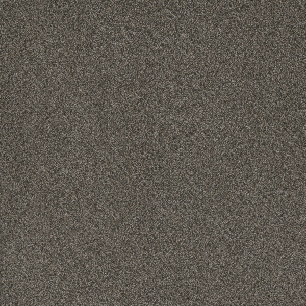 Dreamweaver Carpet Titan III River Crest Carpet 4765_342