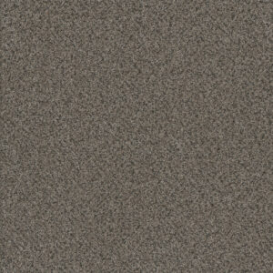 Dreamweaver Carpet Titan III Quail Hollow Carpet 4765_362