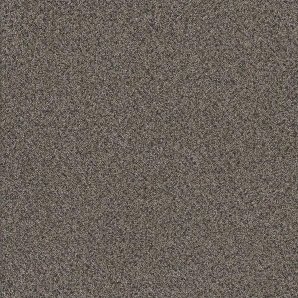Dreamweaver Carpet Titan III Quail Hollow Carpet 4765_362