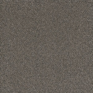 Dreamweaver Carpet Titan III Castle Rock Carpet 4765_387