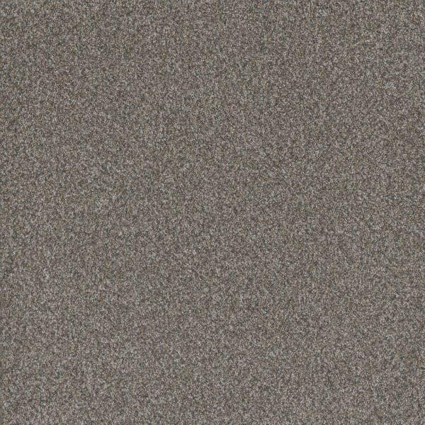 Dreamweaver Carpet Titan III Luna Pearl Carpet 4765_399