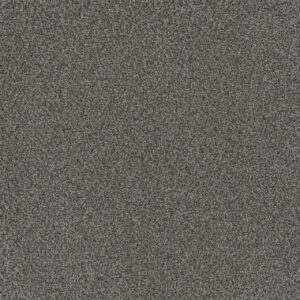 Dreamweaver Carpet Titan III Crystal Downs Carpet 4765_412