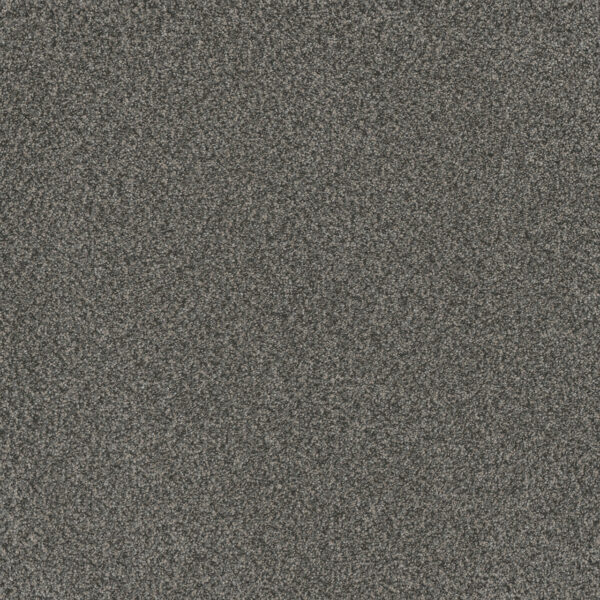Dreamweaver Carpet Titan III Crystal Downs Carpet 4765_412