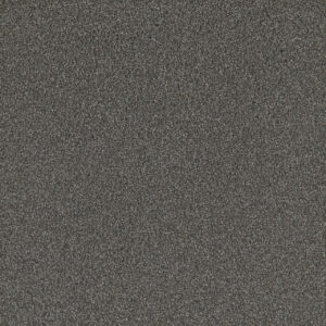 Dreamweaver Carpet No Limits I Warm Shadow Carpet 9337_5001