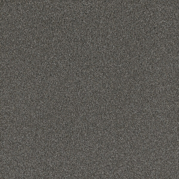 Dreamweaver Carpet No Limits I Warm Shadow Carpet 9337_5001