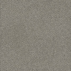 Dreamweaver Carpet No Limits II Dewberry Carpet 9346_5082