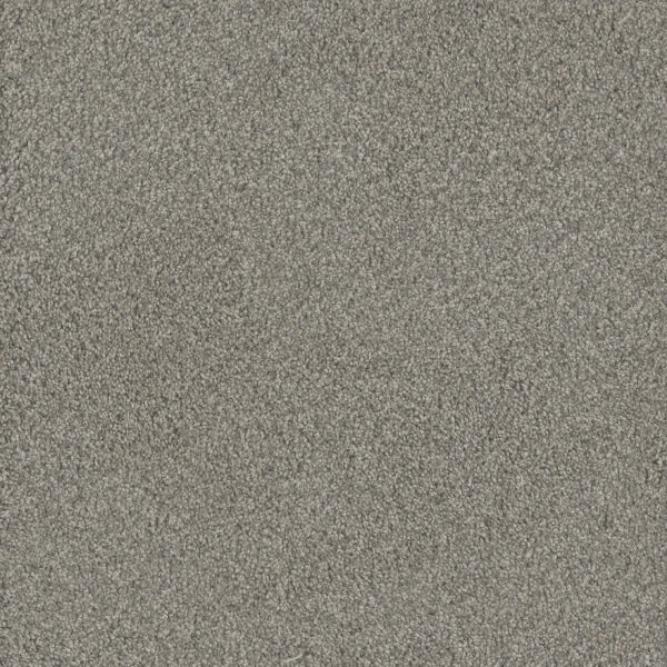 Dreamweaver Carpet No Limits II Dewberry Carpet 9346_5082