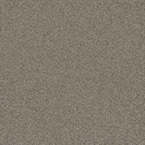 Dreamweaver Carpet No Limits I Meadowlark Carpet 9337_5091