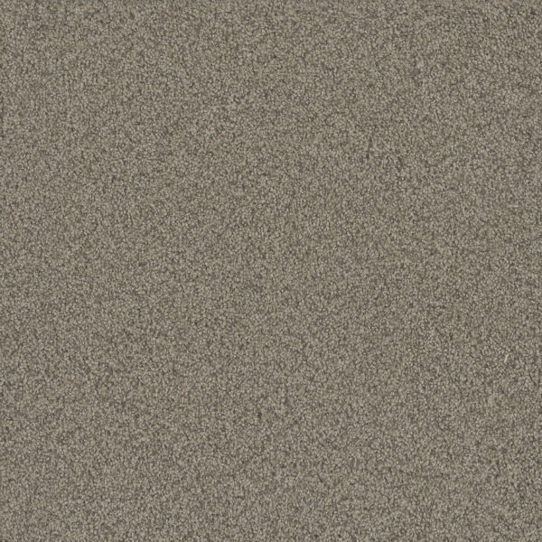 Dreamweaver Carpet No Limits I Meadowlark Carpet 9337_5091