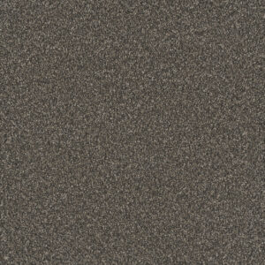 Dreamweaver Carpet No Limits I Lava Clay Carpet 9337_5113