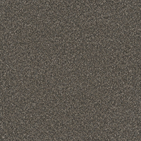 Dreamweaver Carpet No Limits I Lava Clay Carpet 9337_5113