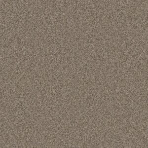 Dreamweaver Carpet Royale II Umber Carpet 5146_6004