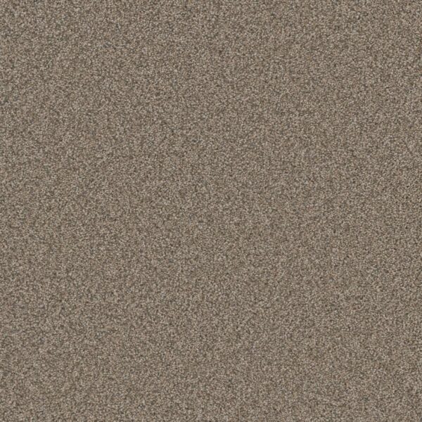 Dreamweaver Carpet Royale II Umber Carpet 5146_6004