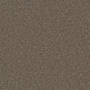 Dreamweaver Carpet Royale III Fawn Carpet 5154_6005