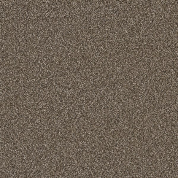 Dreamweaver Carpet Royale II Fawn Carpet 5146_6005