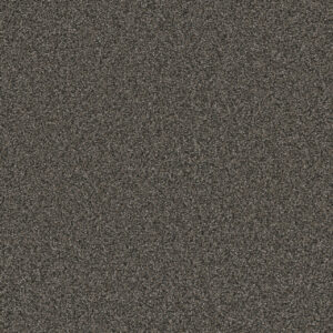 Dreamweaver Carpet Royale I Burnt Amber Carpet 5137_6007