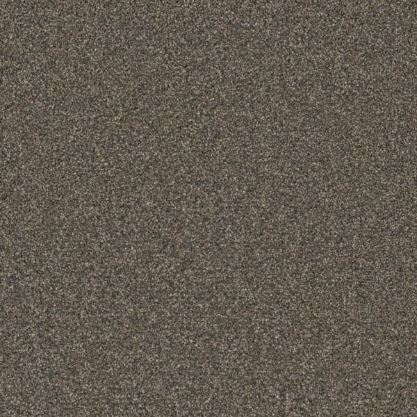 Dreamweaver Carpet Royale I Bordeaux Carpet 5137_6009