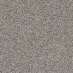 Dreamweaver Carpet Royale II Winterscape Carpet 5146_6040
