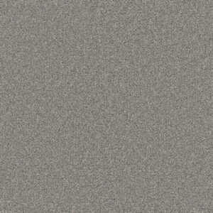 Dreamweaver Carpet Royale II Marble Glaze Carpet 5146_6048