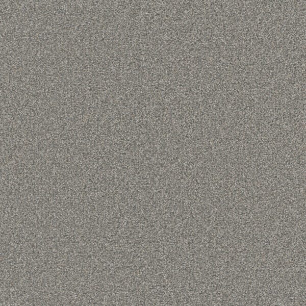 Dreamweaver Carpet Royale III Marble Glaze Carpet 5154_6048