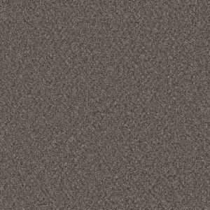 Dreamweaver Carpet Royale II Meadow Dance Carpet 5146_6049