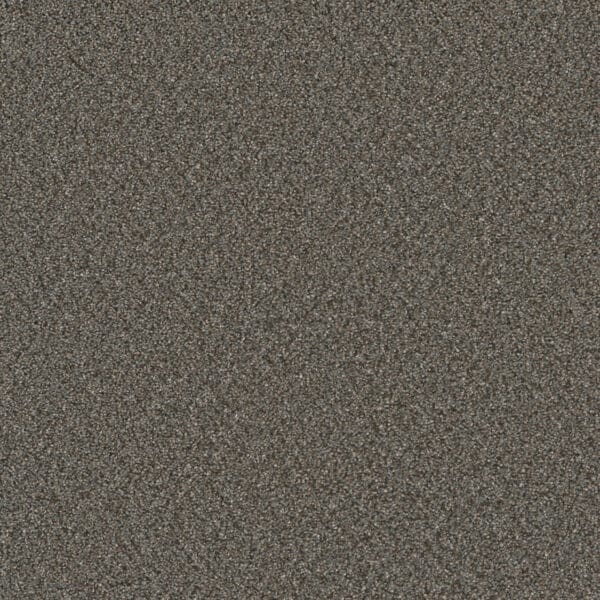 Dreamweaver Carpet Royale I Meadow Dance Carpet 5137_6049