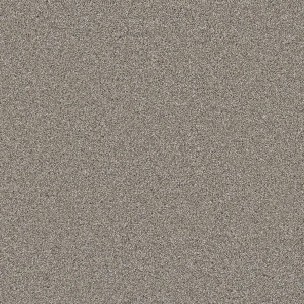 Dreamweaver Carpet Royale I Antique Fresco Carpet 5137_6076
