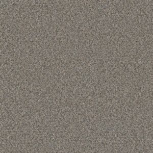 Dreamweaver Carpet Royale III Dogwood Carpet 5154_6077