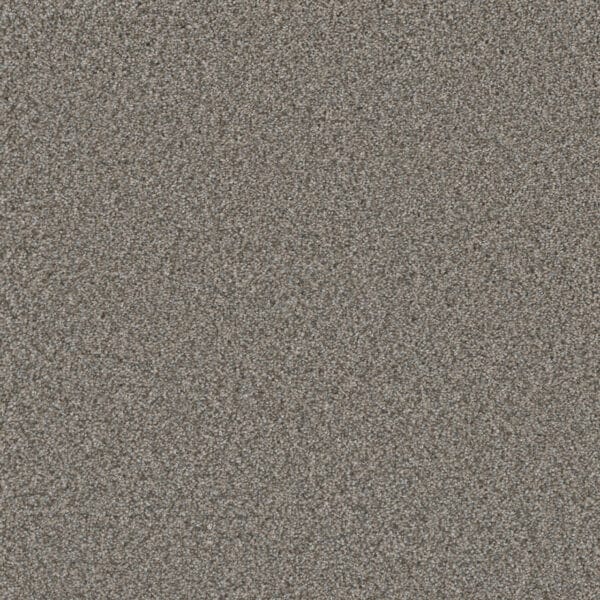 Dreamweaver Carpet Royale II Dogwood Carpet 5146_6077