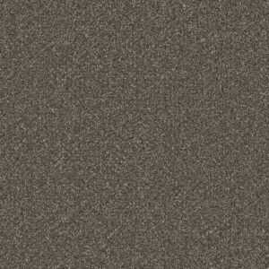 Dreamweaver Carpet Royale II Rugby Carpet 5146_6112