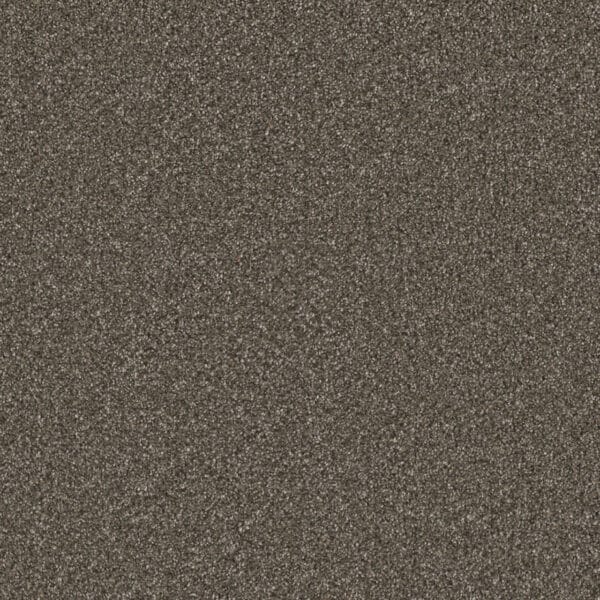 Dreamweaver Carpet Royale I Rugby Carpet 5137_6112