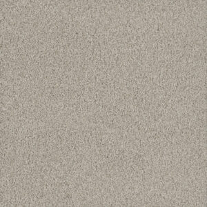 Dreamweaver Carpet No Limits II Aspen Glow Carpet 9346_5165
