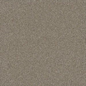 Dreamweaver Carpet No Limits II Ambiance Carpet 9346_5185