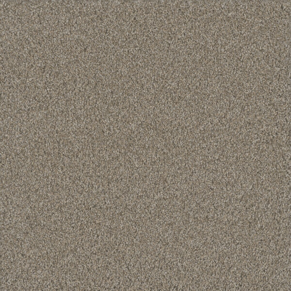 Dreamweaver Carpet No Limits II Ambiance Carpet 9346_5185